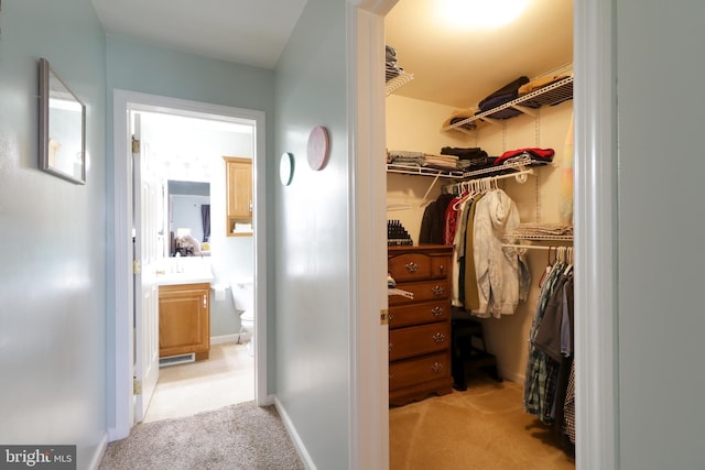 218 Independence Ave, State College, PA 16801 - walk in closet with light carpet