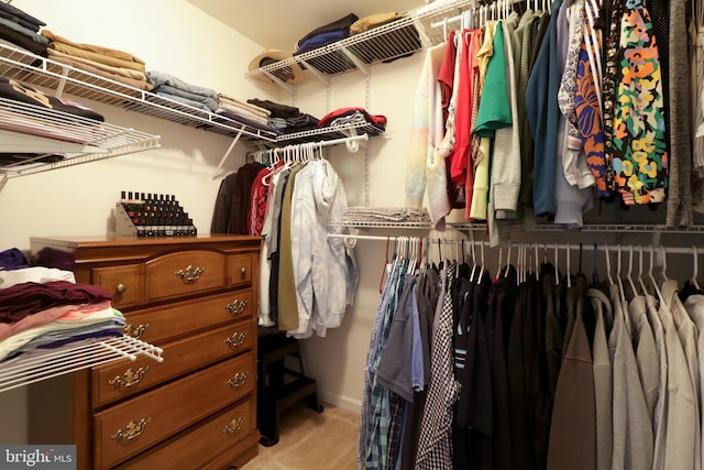 218 Independence Ave, State College, PA 16801 - spacious closet with light carpet