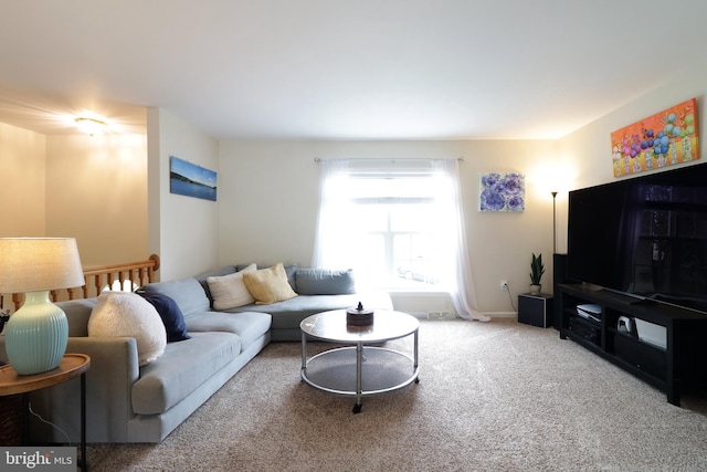 218 Independence Ave, State College, PA 16801 - view of carpeted living area