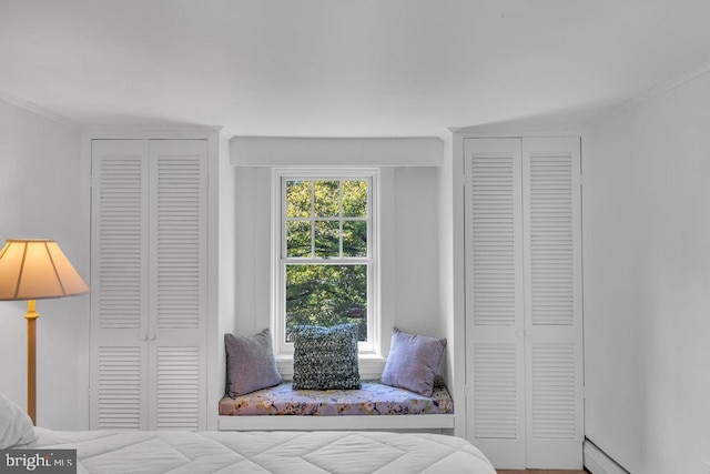 484 Rte 518, Skillman, NJ 08558 - bedroom featuring multiple closets, a baseboard heating unit, and crown molding