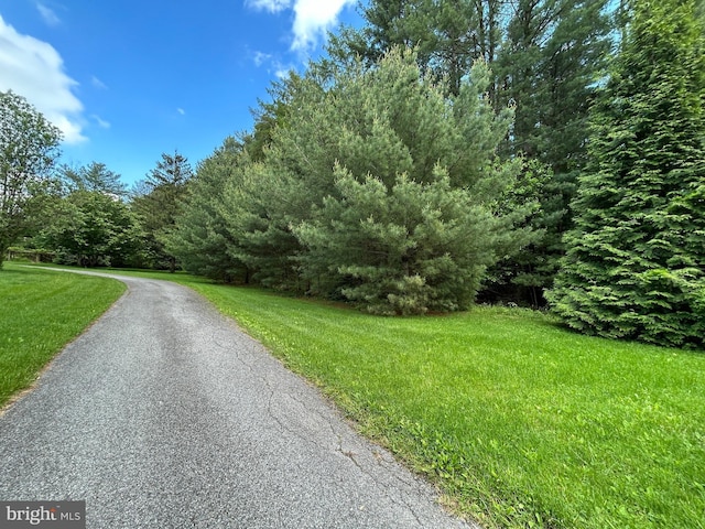 4599 Carlisle Rd, Gardners, PA 17324 - view of road