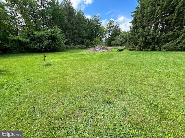 4599 Carlisle Rd, Gardners, PA 17324 - view of green lawn