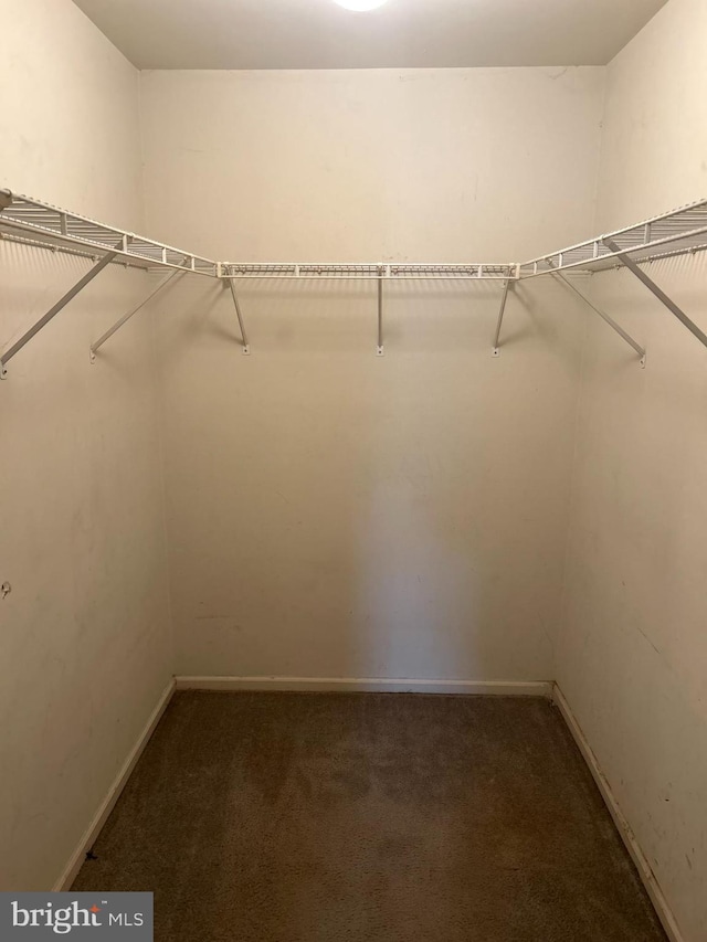 102 Stone Hurst Ct Unit 102, New Castle, DE 19720 - walk in closet featuring carpet