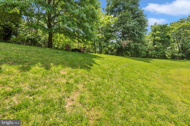 8220 Waterside Ct, Fort Washington, MD 20744 - view of grassy yard