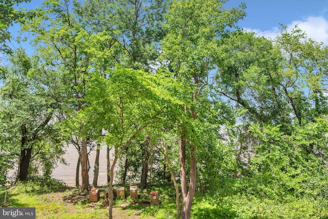 8220 Waterside Ct, Fort Washington, MD 20744 - view of nature