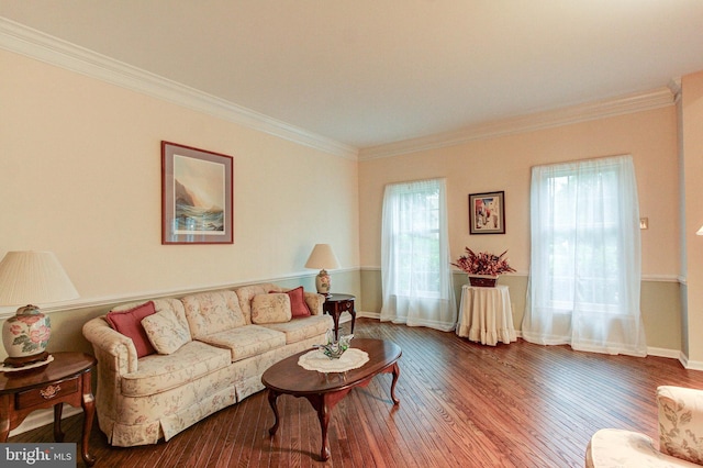 235 Amherst Dr, Doylestown, PA 18901 - living area with ornamental molding, hardwood / wood-style floors, and baseboards