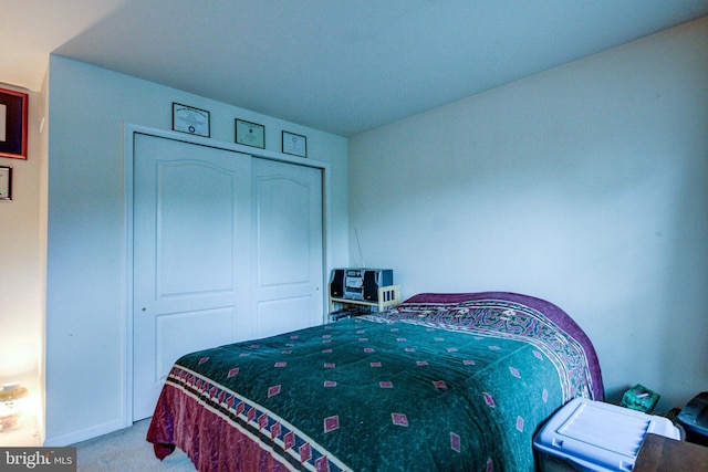235 Amherst Dr, Doylestown, PA 18901 - bedroom with carpet floors, a closet, and baseboards