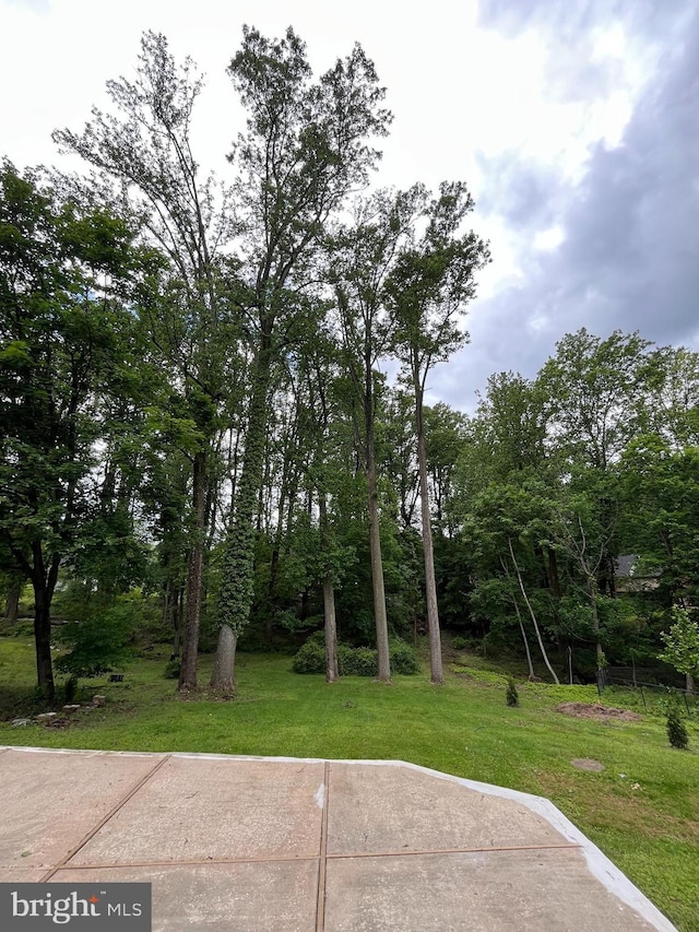 905 Dunellen Dr, Towson, MD 21286 - view of grassy yard