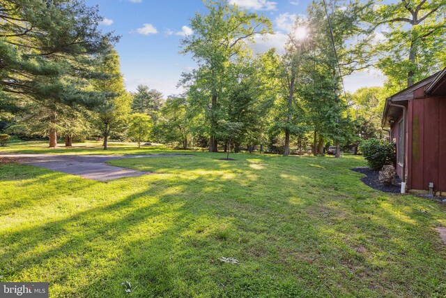 1316 Carpenters Point Rd, Perryville, MD 21903 - view of green lawn