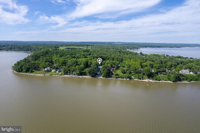 1316 Carpenters Point Rd, Perryville, MD 21903 - drone / aerial view of a large body of water and a heavily wooded area