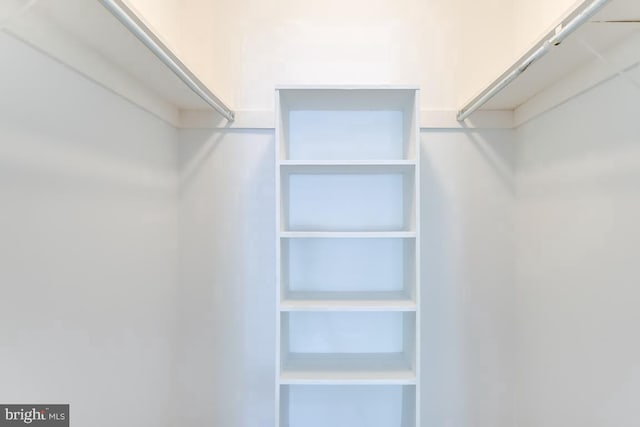 6087 Majors Ln Unit 1, Columbia, MD 21045 - view of walk in closet