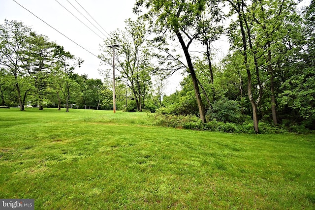 16 Grove Cir, Sellersville, PA 18960 - view of green lawn