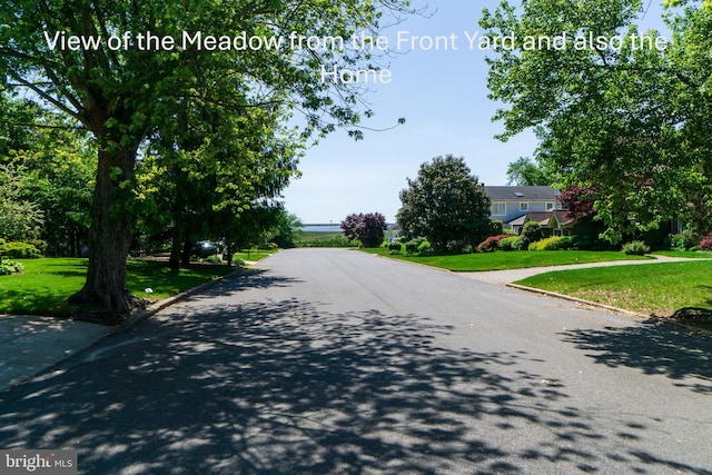 209 Berkshire Ave, Linwood, NJ 08221 - view of asphalt road with curbs