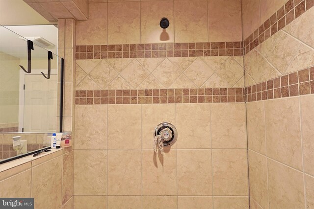 25 Mariner Ct, Ridgeley, WV 26753 - bathroom with a tile shower
