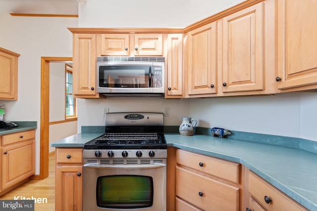 3 Howell Point Rd, Betterton, MD 21610 - kitchen featuring appliances with stainless steel finishes and light brown cabinetry