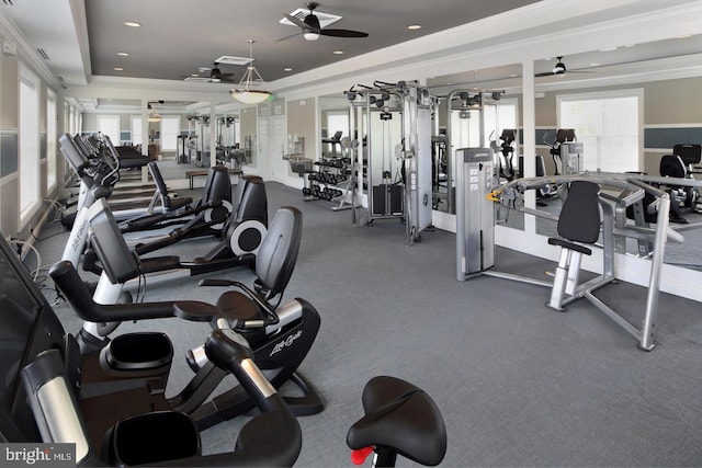 1504 Willow Branch Way, Severn, MD 21144 - exercise room with ceiling fan, a tray ceiling, and ornamental molding