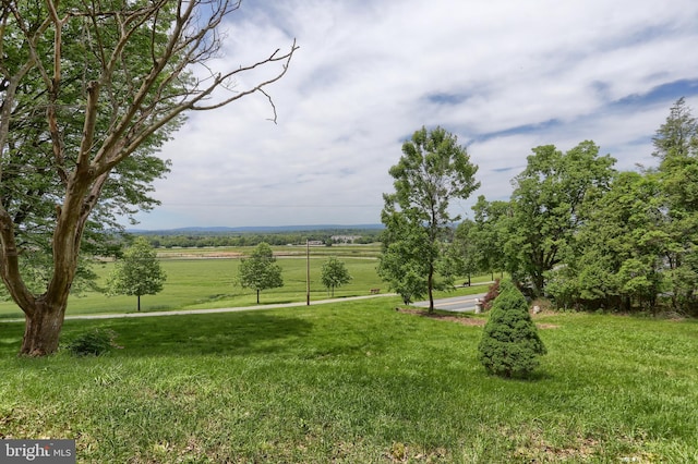 1236 Wood Rd, Hummelstown, PA 17036 - view of green lawn with a view of rural / pastoral area