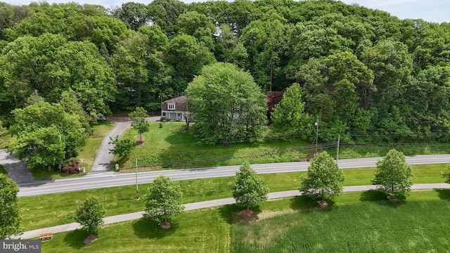 1236 Wood Rd, Hummelstown, PA 17036 - surrounding community with a lawn and a forest view