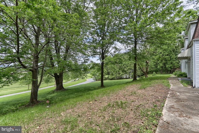 1236 Wood Rd, Hummelstown, PA 17036 - view of green lawn