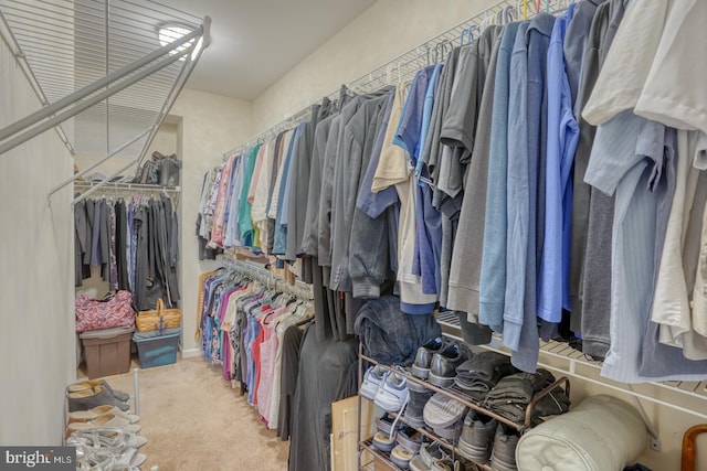 38623 Longs Chapel Ln, Millville, DE 19967 - spacious closet featuring carpet