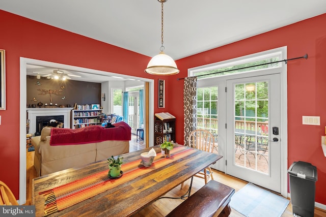 419 Westside Station Dr, Winchester, VA 22601 - dining space featuring healthy amount of natural light, wood finished floors, and a fireplace