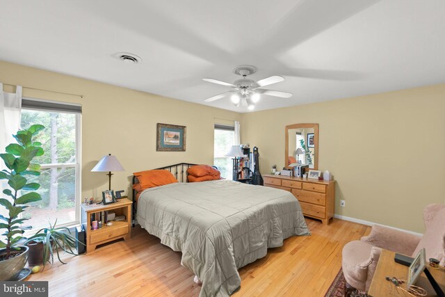 419 Westside Station Dr, Winchester, VA 22601 - bedroom featuring multiple windows, light wood-style flooring, and a ceiling fan