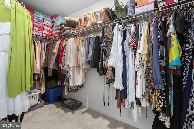 12037 Angora Dr, King George, VA 22485 - spacious closet featuring carpet flooring