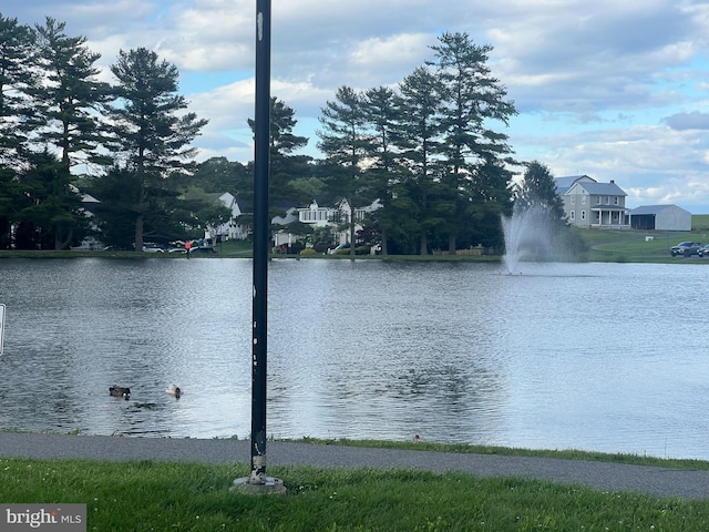 21 Bancroft St, Taneytown, MD 21787 - water view