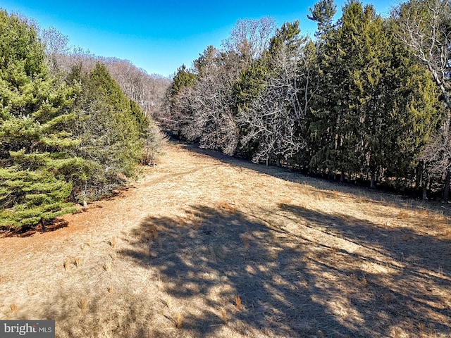 657 N Heilbron Dr, Media, PA 19063 - view of street featuring a view of trees