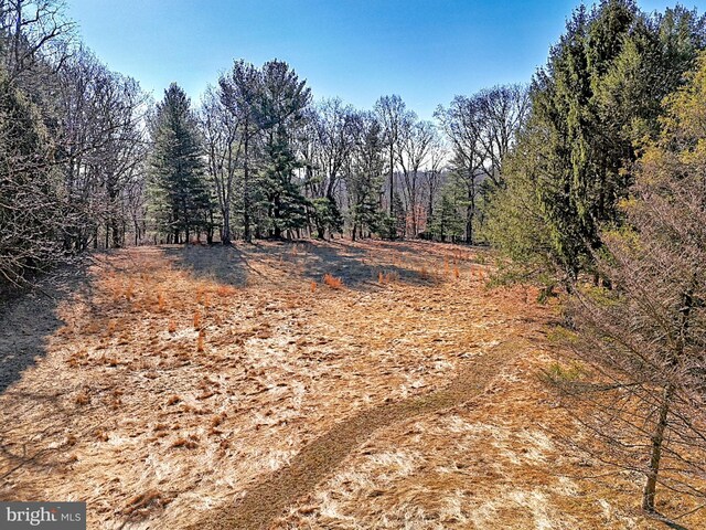 657 N Heilbron Dr, Media, PA 19063 - view of nature