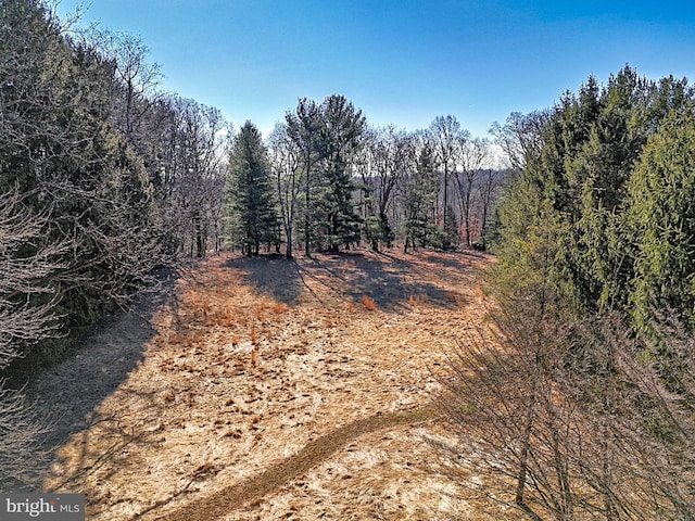 657 N Heilbron Dr, Media, PA 19063 - view of nature