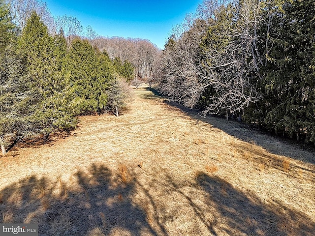 657 N Heilbron Dr, Media, PA 19063 - view of woods