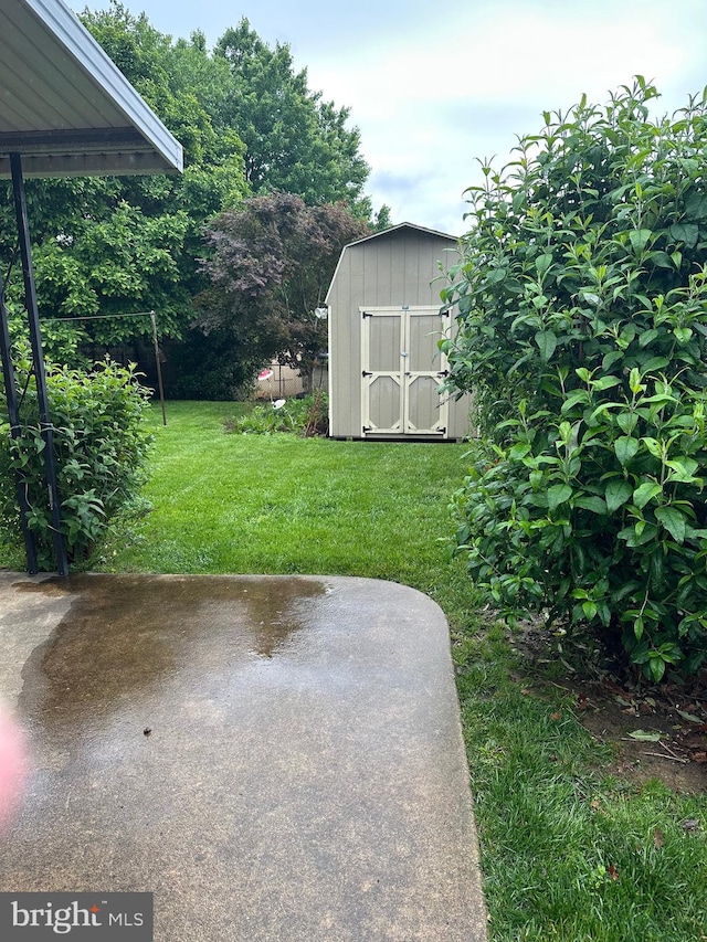 206 Taylor Rd, Wilmington, DE 19804 - view of green lawn