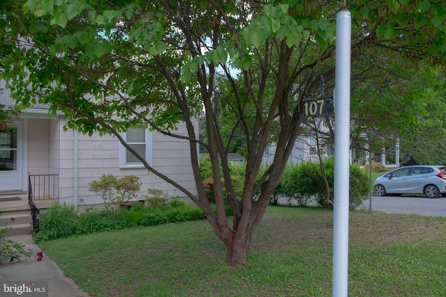 107 Bishops Ln, Baltimore, MD 21228 - view of green lawn