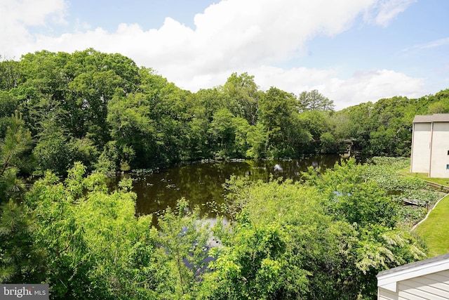 224 Canal Park Dr Unit 104, Salisbury, MD 21804 - view of yard featuring a water view and a wooded view