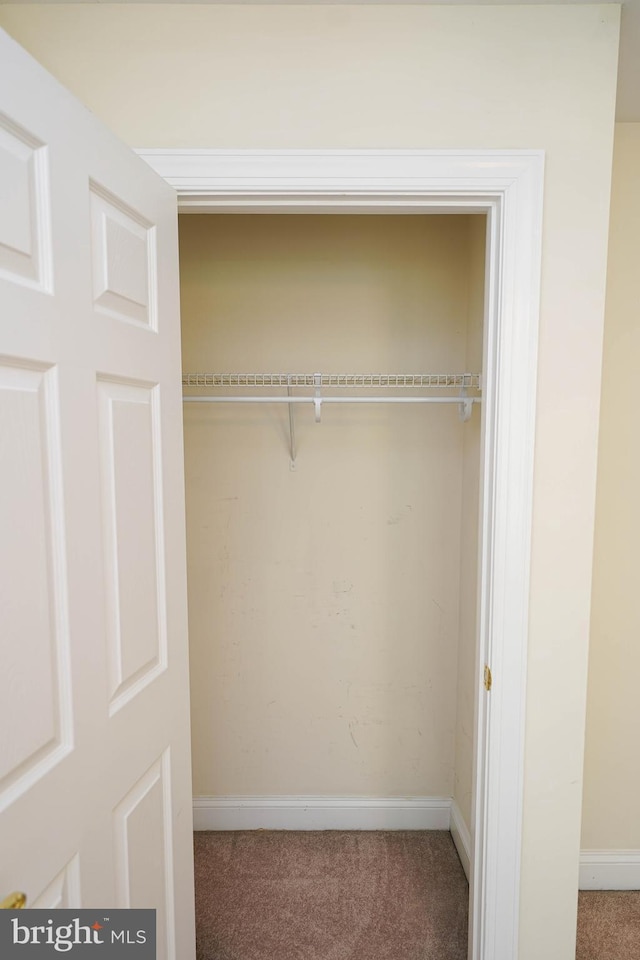 224 Canal Park Dr Unit 104, Salisbury, MD 21804 - view of closet