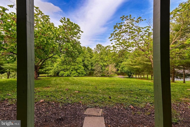 170 Vaughndom Way, Martinsburg, WV 25404 - view of grassy yard