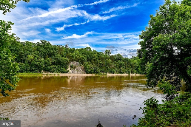 170 Vaughndom Way, Martinsburg, WV 25404 - water view with a heavily wooded area