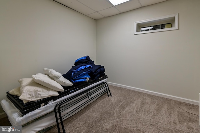 170 Vaughndom Way, Martinsburg, WV 25404 - miscellaneous room with carpet, baseboards, and a drop ceiling
