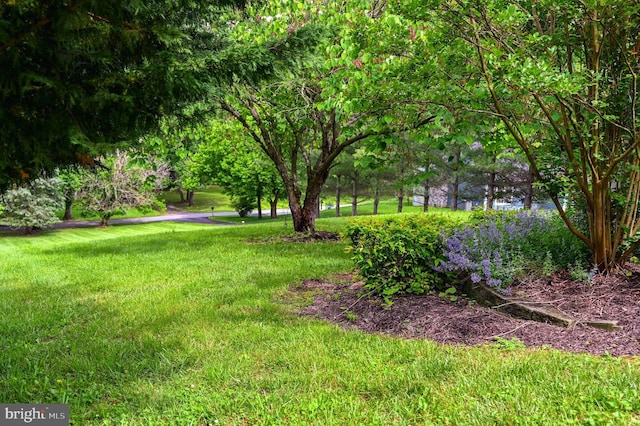 170 Vaughndom Way, Martinsburg, WV 25404 - view of green lawn