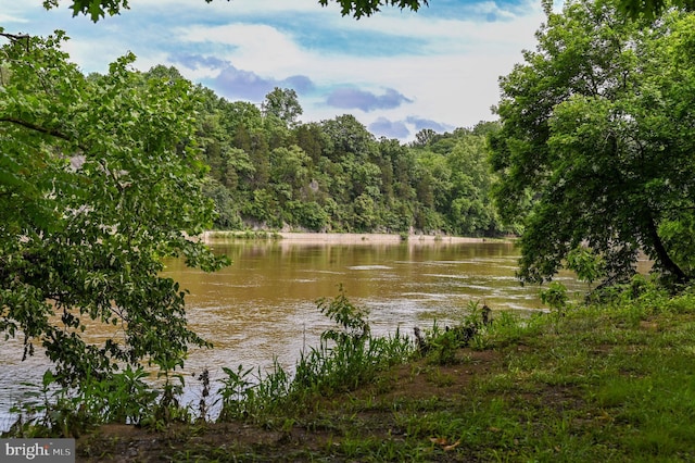 170 Vaughndom Way, Martinsburg, WV 25404 - water view with a heavily wooded area