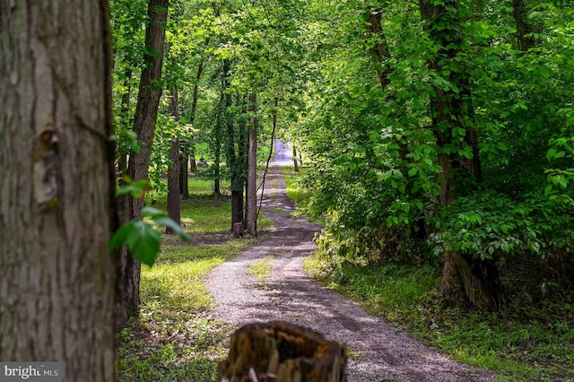 170 Vaughndom Way, Martinsburg, WV 25404 - view of dirt / gravel road with a wooded view