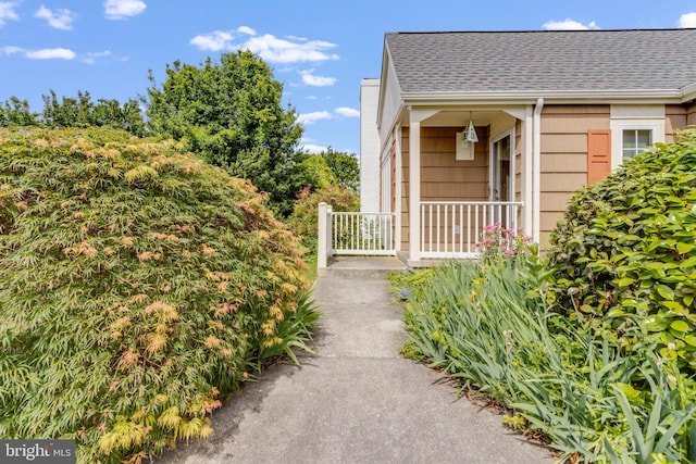 207 Loganberry Ln, Rehoboth Beach, DE 19971 - entrance to property featuring a shingled roof and a porch