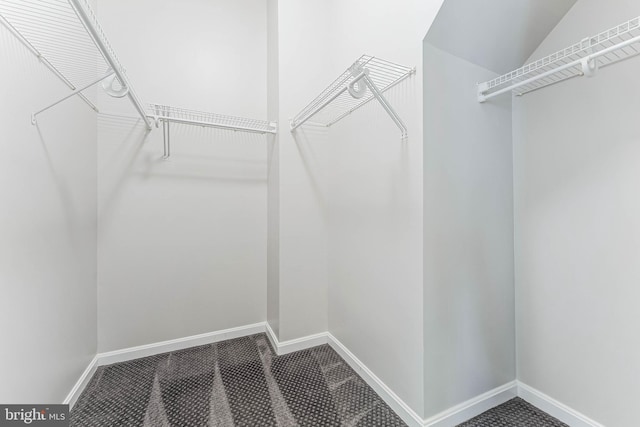 21934 Windover Dr, Broadlands, VA 20148 - walk in closet with carpet and vaulted ceiling