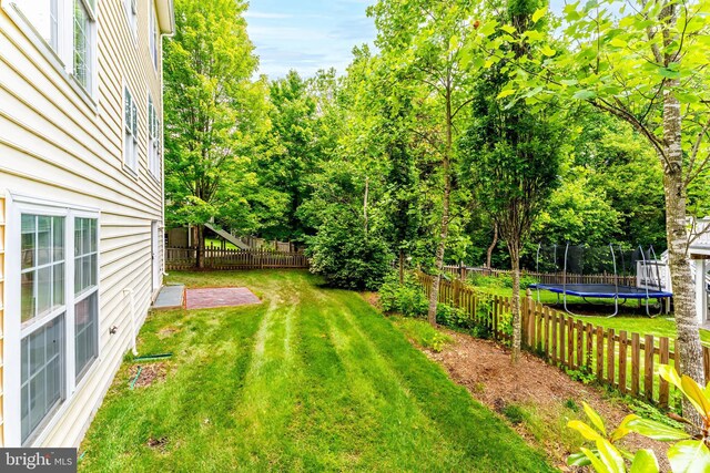 21934 Windover Dr, Broadlands, VA 20148 - view of yard with a trampoline
