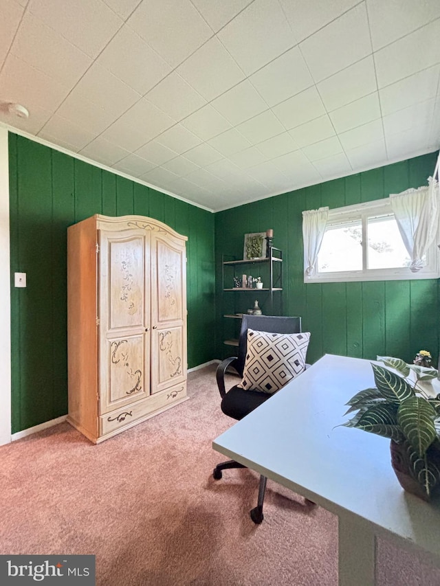 7 Hay Rd, Levittown, PA 19056 - office space featuring carpet flooring and wooden walls