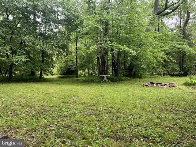 1374 Mccabe Rd, Landisburg, PA 17040 - view of yard featuring a view of trees