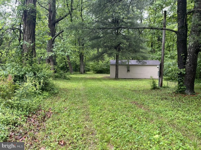 1374 Mccabe Rd, Landisburg, PA 17040 - view of green lawn featuring a view of trees