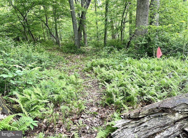 1374 Mccabe Rd, Landisburg, PA 17040 - view of woods