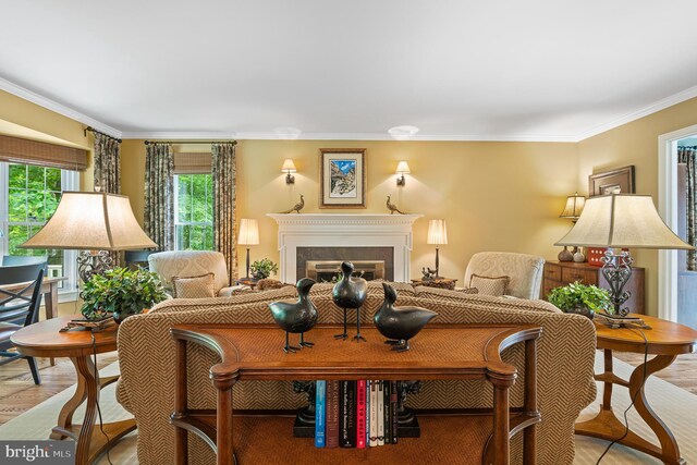 9020 Old Dominion Dr, Mclean, VA 22102 - living room featuring crown molding, a fireplace, and wood finished floors